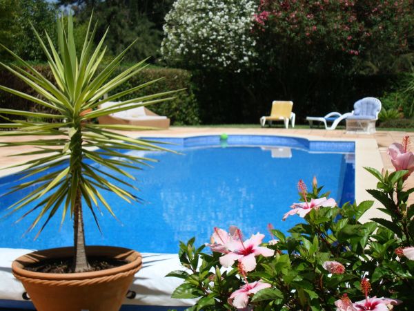 Pool Terrace Renovation in Murrieta