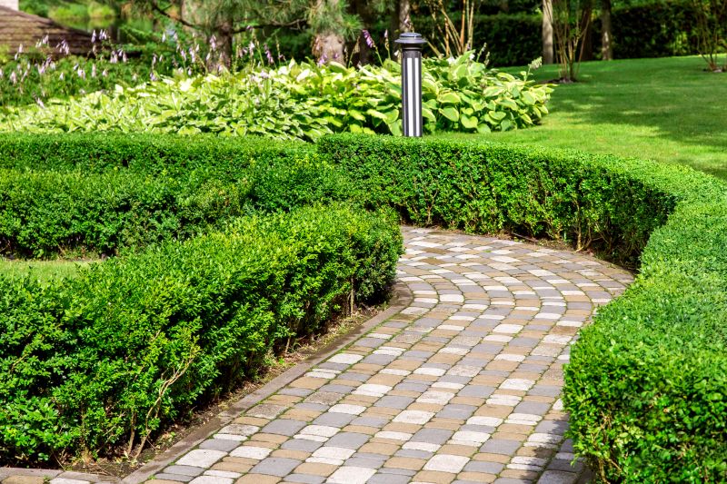 Paved Landscaping